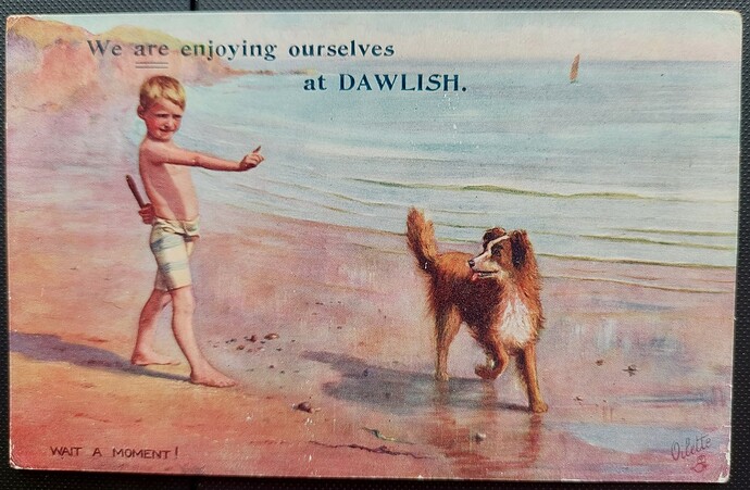 Dawlish Dog B1